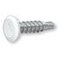 Plate Protector 6x23 blanc